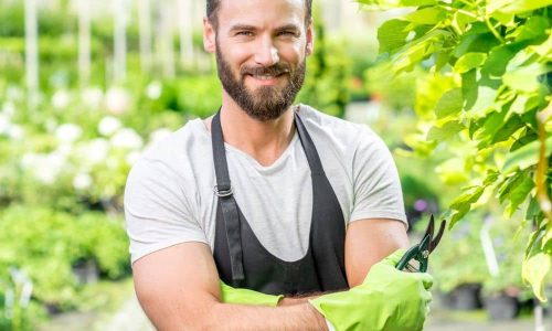 Gärtner arbeitet im Gewächshaus für Saisonjobs, Ausbildung und Berufseinstieg in Landwirtschaft und Gartenbau