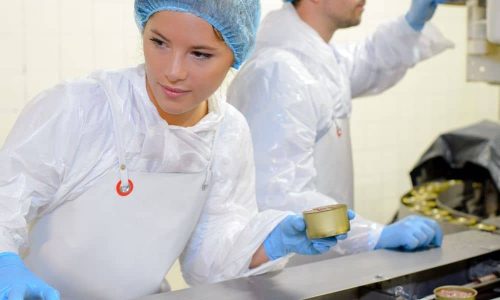 Mitarbeitende kontrollieren Lebensmittelproduktion für Jobs, Ausbildung und Berufseinstieg in der Lebensmittelbranche